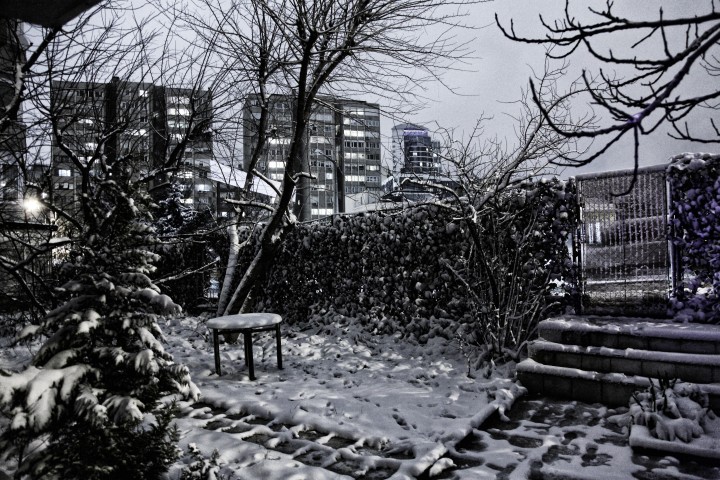Putting Your Garden to Sleep for the Winter