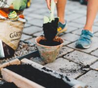 rented garden