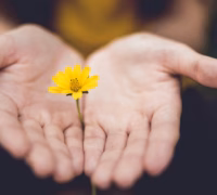 Wellbeing at School